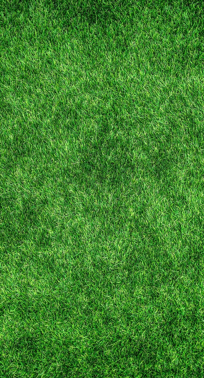 Sustainable Living Environment