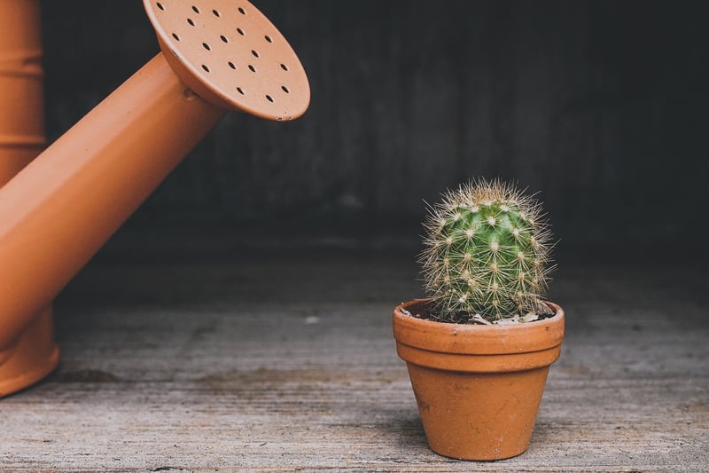 Eco-Friendly Planters